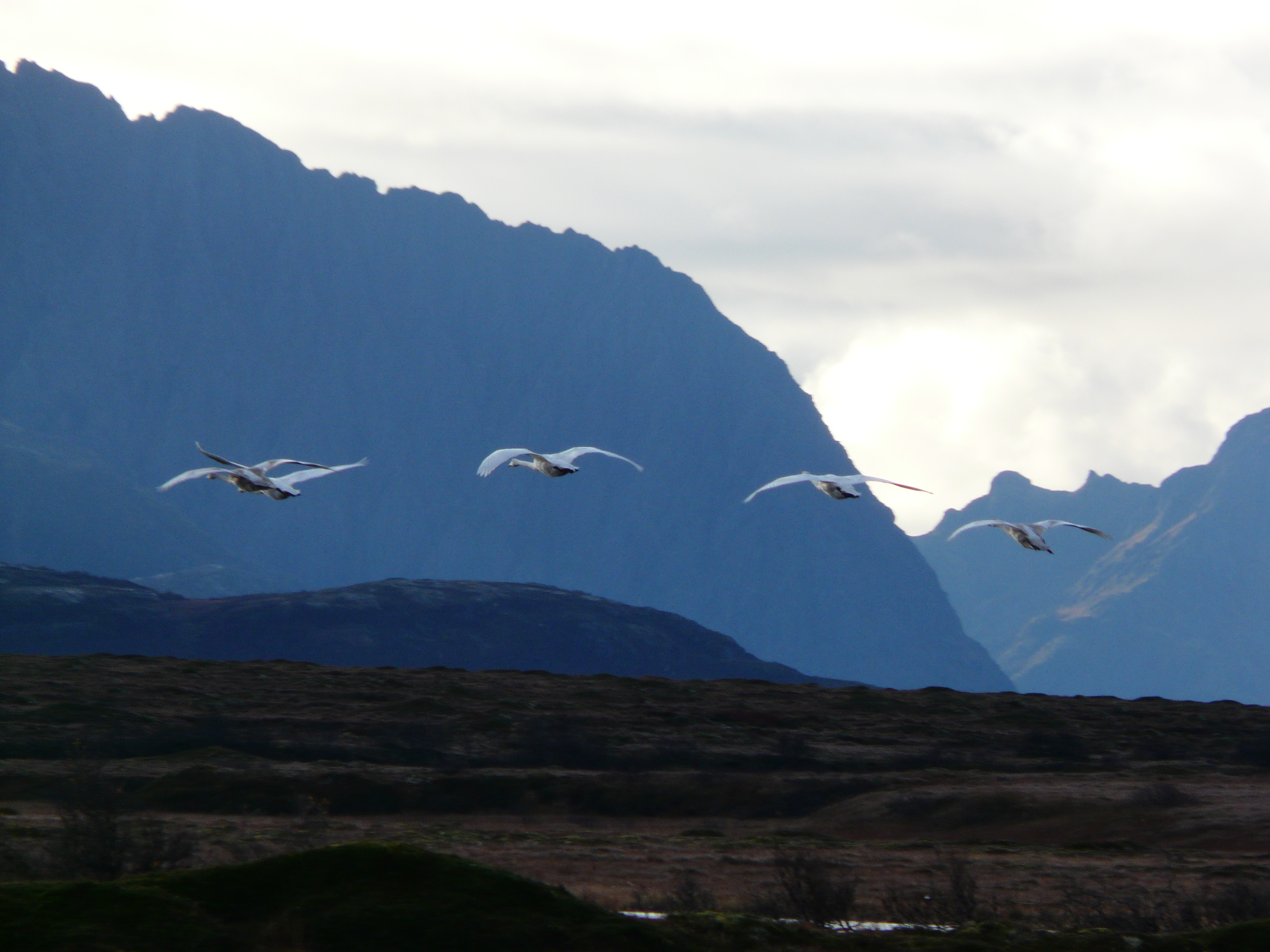 Grunnfjorden